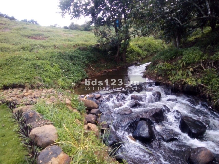 Cần bán đất vườn nghĩ dưỡng có view đồi, suối bao quanh, giá chỉ 2.5 triệu/m2, sổ sẵn