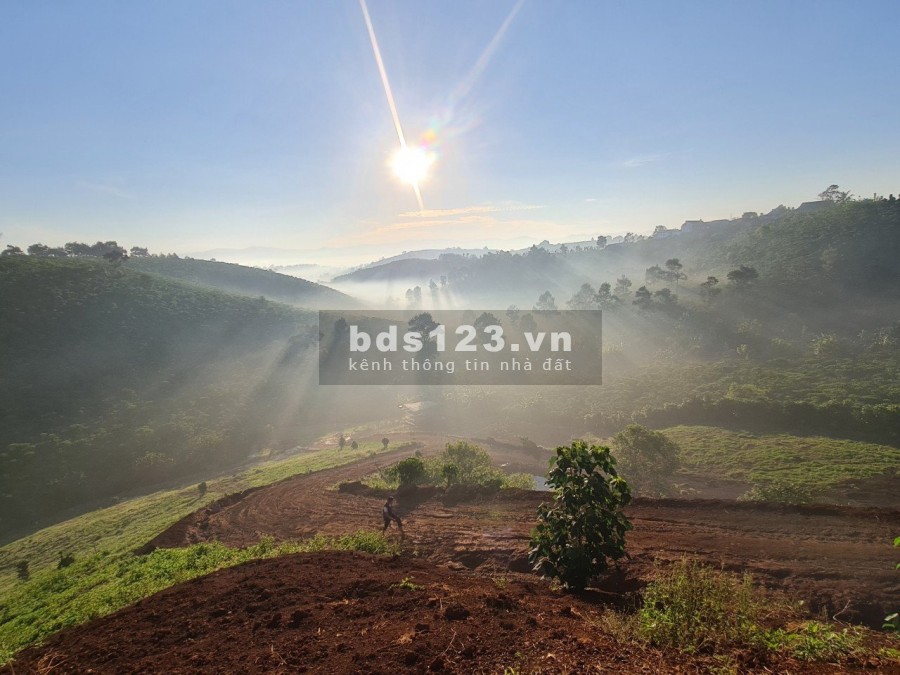 Cần bán đất vườn nghĩ dưỡng có view đồi, suối bao quanh, giá chỉ 2.5 triệu/m2, sổ sẵn
