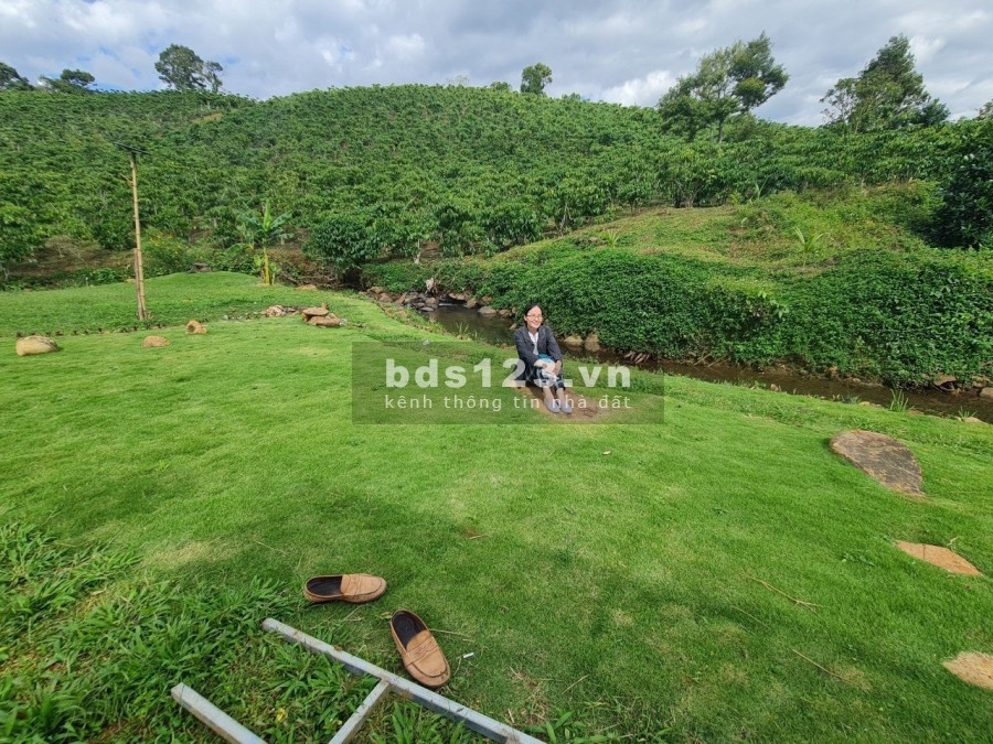 Cần bán đất vườn nghĩ dưỡng có view đồi, suối bao quanh, giá chỉ 2.5 triệu/m2, sổ sẵn