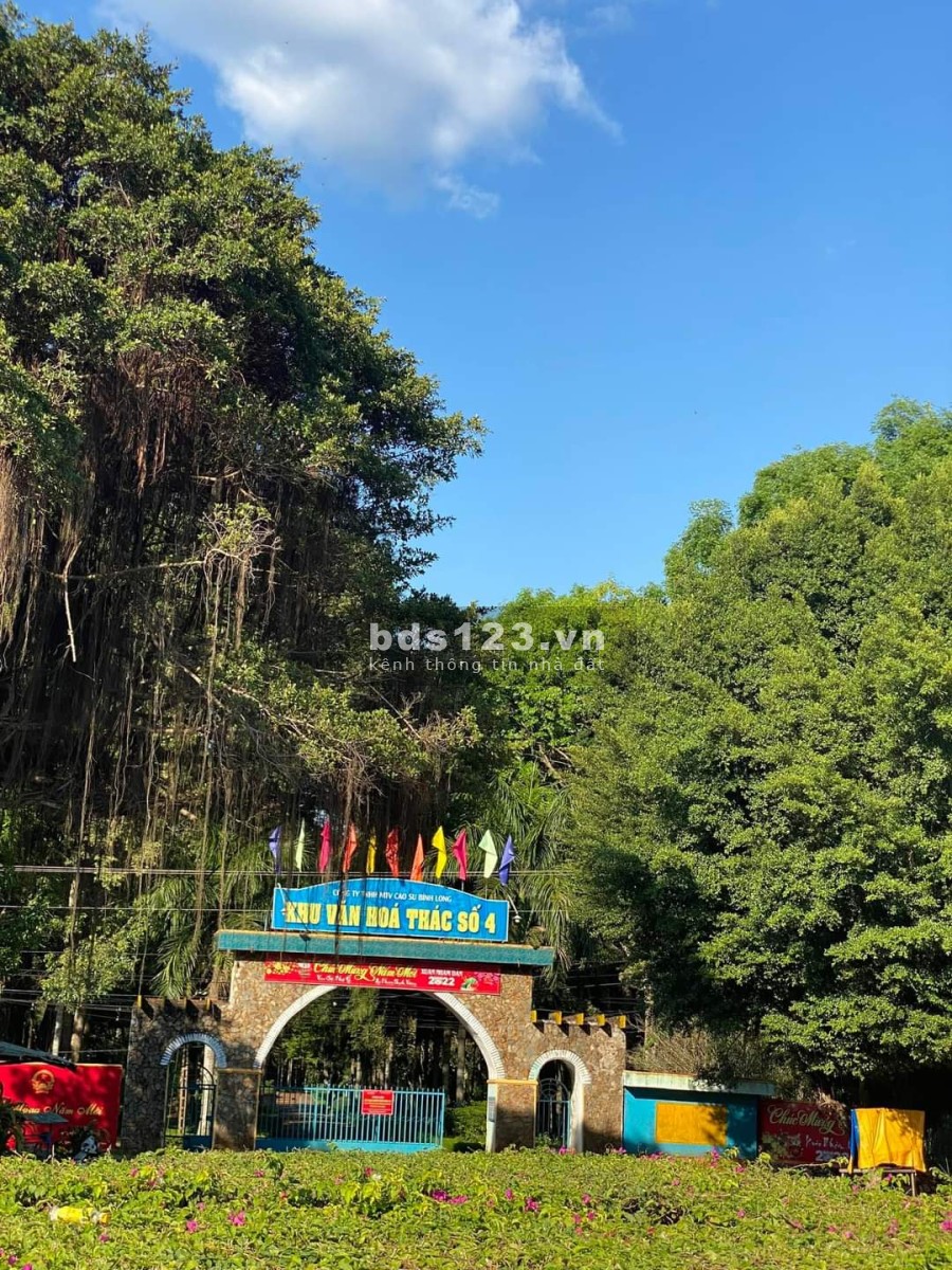 Bán đất 7 sào, 200m3 thổ cư Bình Phước giá 1ty6 liên hệ xem đất 0984725054