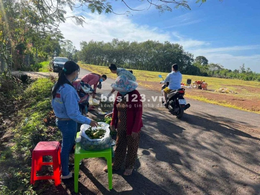 Đất Bình Phước giá rẻ lh ngay 0332532988 diện tích sử dụng 500m2, có 200m2 thổ cư