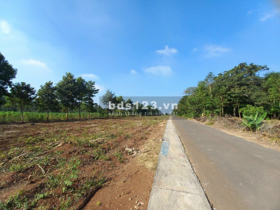 Đất đường HĂC DỊCH Trần Phú khu phố 3 Hắc Dịch thị xã Phú Mỹ, Bà Rịa Vũng Tàu lh 0902514989
