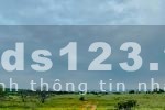 Bán đất tại TT Chợ Lầu, sổ DT nhỏ, vuông đẹp, giá đầu tư thấp dễ thanh khoản. Liên hệ 0903877847