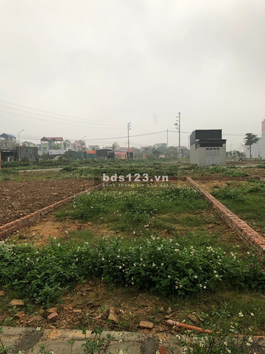 Bán đất dịch vụ Lại Yên Hoài Đức diện tích 60m2 mt 4m giá 3 tỷ hơn đường rộng 12m