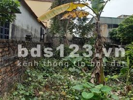 Bán thửa đất 126m tại Đa Tốn - Gia Lâm liên hệ 0982321339, vị trí đắc địa, sổ đỏ chính chủ