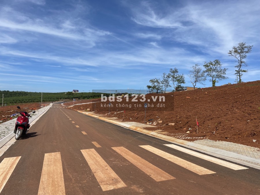 Đất Nền Khu Nghỉ Dưỡng Bảo Lộc pháp lý đầy đủ, giá tốt, sổ hồng riêng từng nền