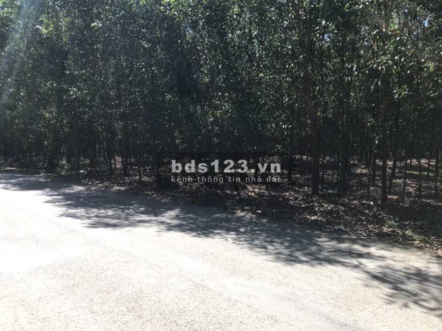Bán đất mặt tiền đường Tỉnh Lộ 8B Khánh Bình, Khánh Vĩnh, giá đầu tư, pháp lý chính chủ