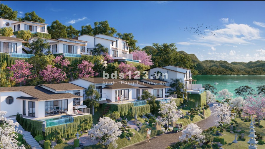 Cần bán căn siêu phẩm BT mặt hồ dự án Takara Hòa Bình chỉ từ 1,9 tỷ