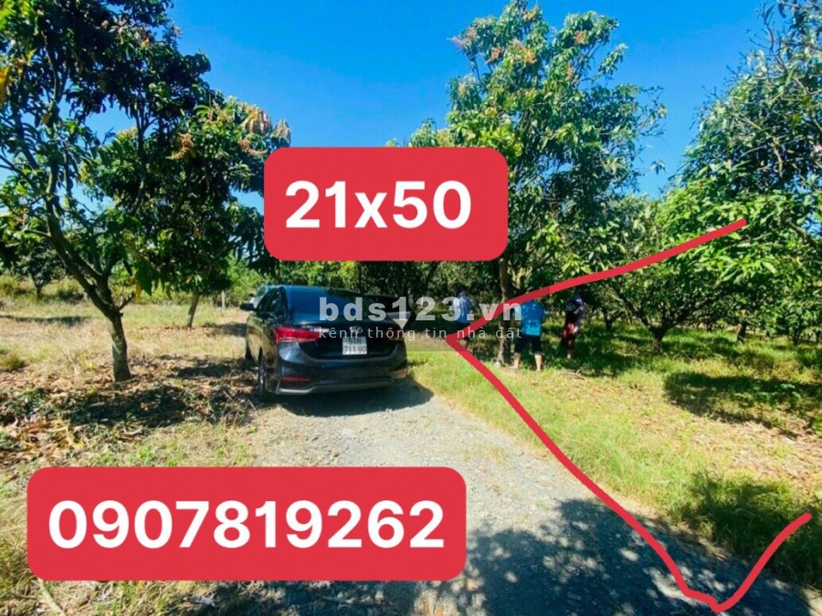 Đất Vườn Sổ Sẵn 770tr/1009m2 Đồng Nai, có sẵn Vườn xoài đang cho trái, liên hệ 0907819262