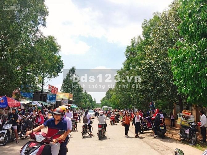 Gia đình gặp khó khăn cần bán gấp lô đất 200m2 với giá rẻ