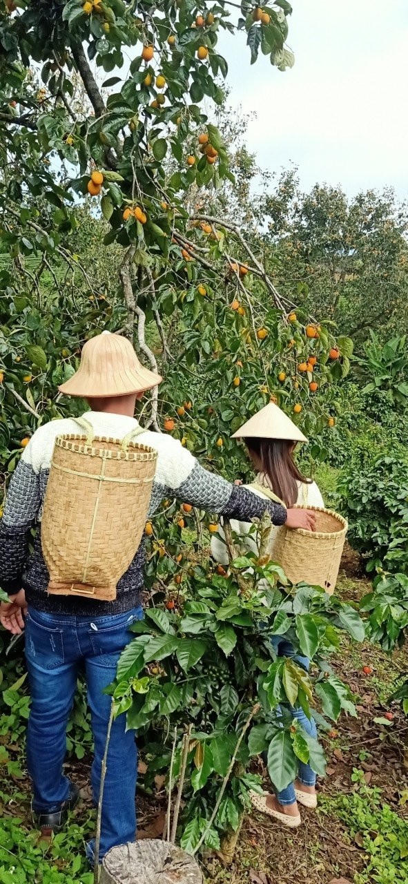 Bán lô cầu đất săn may cạnh Novaland sổ đỏ riêng đường ô tô giá đầu tư sinh lời cao