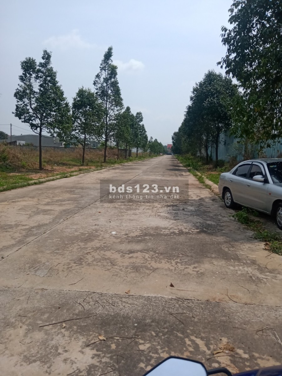 Sổ hồng chính chủ dtsd 210m đất thổ mặt tiền đường nhựa tại Binh Dương, giá tốt đầu tư
