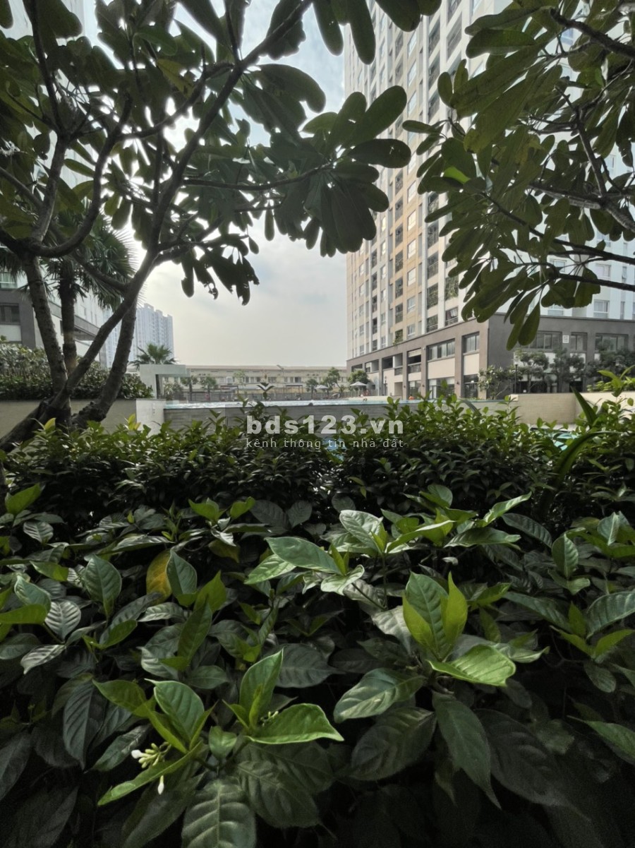 PKD Nova chuyển nhượng căn hộ RichStar 53 m2 - 91 m2 góc Hòa Bình - Tô Hiệu, có nội thất hướng mát