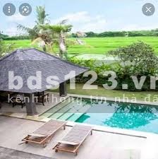 Bán đất làm vườn nhà nghĩ dưỡng tốt, diện tích 1000m2, pháp lý chuẩn, bàn giao công chứng ngay