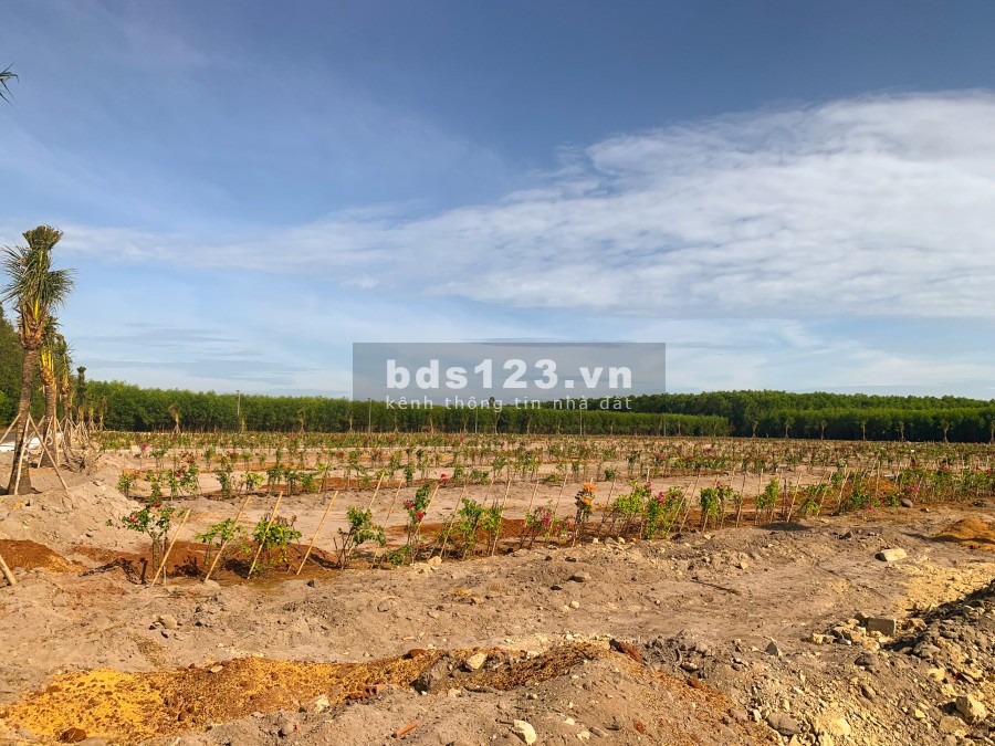 Đất nền phân lô cạnh sân bay Lộc An giá bán 9.5 triệu/m2, giá tốt tiện đầu tư sinh lời