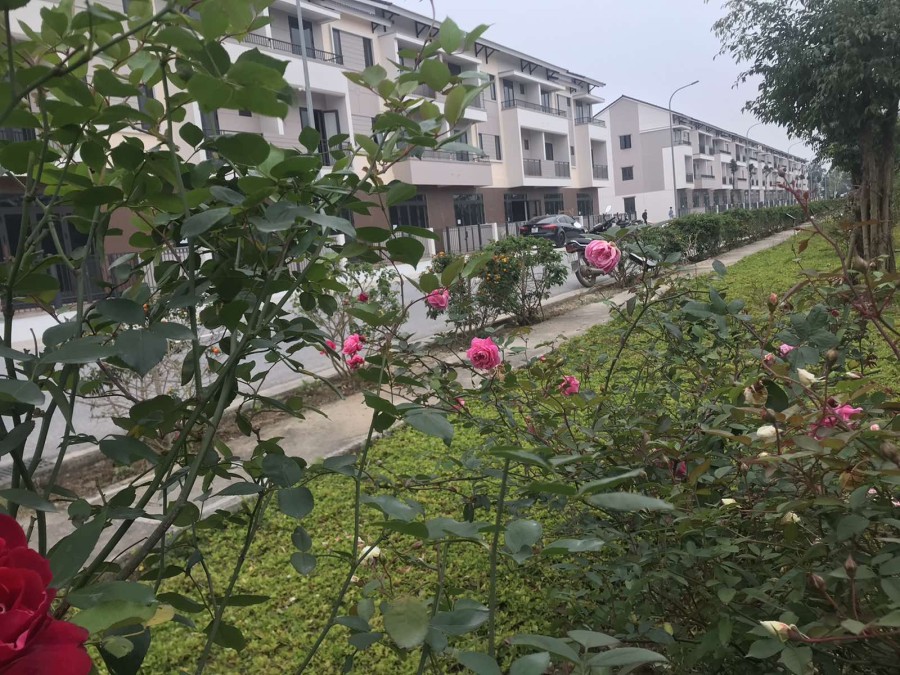 Bán gấp Shophouse góc vườn hoa trục đường 13m giá hữu nghị tại thành phố Từ Sơn