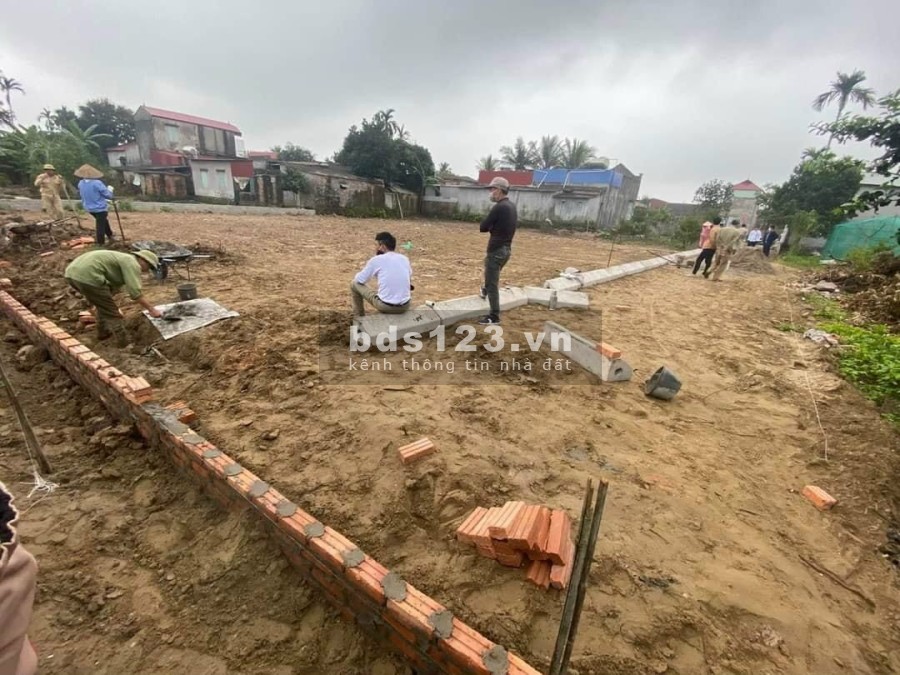 Đất Tân Viên, An Lão cách mặt đường 362 chỉ 50m, ngõ ô tô sổ đỏ chính chủ, giá tốt đầu tư