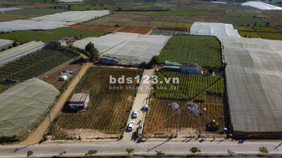 Bán đất nền vùng ven Đà Lạt, sổ riêng chính chủ, pháp lý đầy đủ, bàn giao công chứng