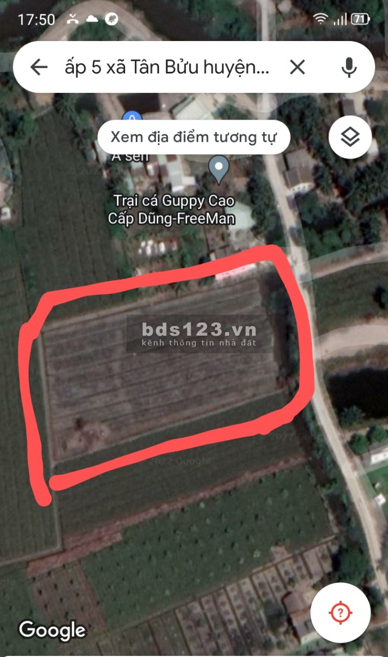 Bán đất mặt tiền tại xã Tân Bửu gần kề thành phố Hồ Chí Minh, giá tốt, giấy tờ đầy đủ