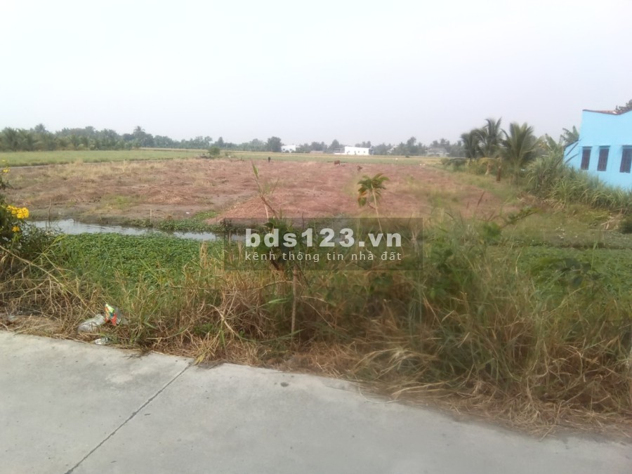 Bán đất mặt tiền tại xã Tân Bửu gần kề thành phố Hồ Chí Minh, giá tốt, giấy tờ đầy đủ