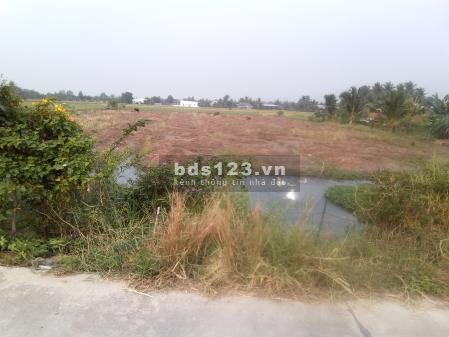 Bán đất mặt tiền tại xã Tân Bửu gần kề thành phố Hồ Chí Minh, giá tốt, giấy tờ đầy đủ