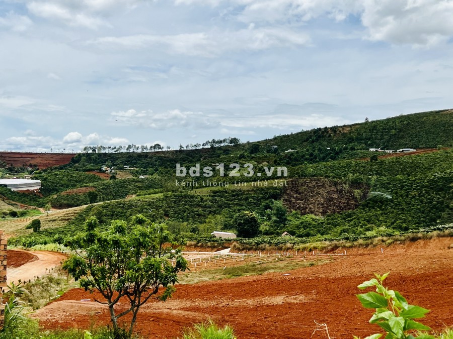 Bán đất Nam Hà, Lâm Đồng gần trung tâm Đà Lạt giá rẻ pháp lý chính chủ, tiện ích đầy đủ