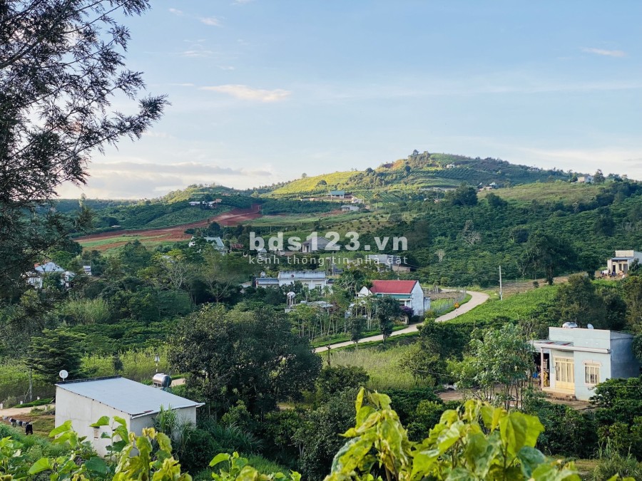 Bán đất Nam Hà, Lâm Đồng gần TT Đà Lạt pháp lý chính chủ, bàn giao công chứng ngay