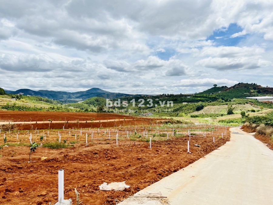 Bán đất Nam Hà, Lâm Đồng gần trung tâm Đà Lạt giá rẻ pháp lý chính chủ, tiện ích đầy đủ