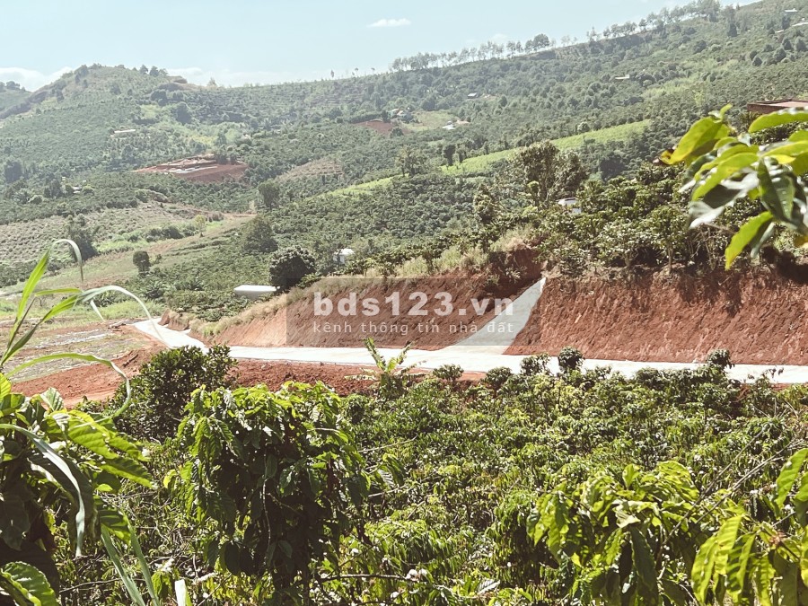 Bán đất Nam Hà, Lâm Đồng gần TT Đà Lạt pháp lý chính chủ, bàn giao công chứng ngay