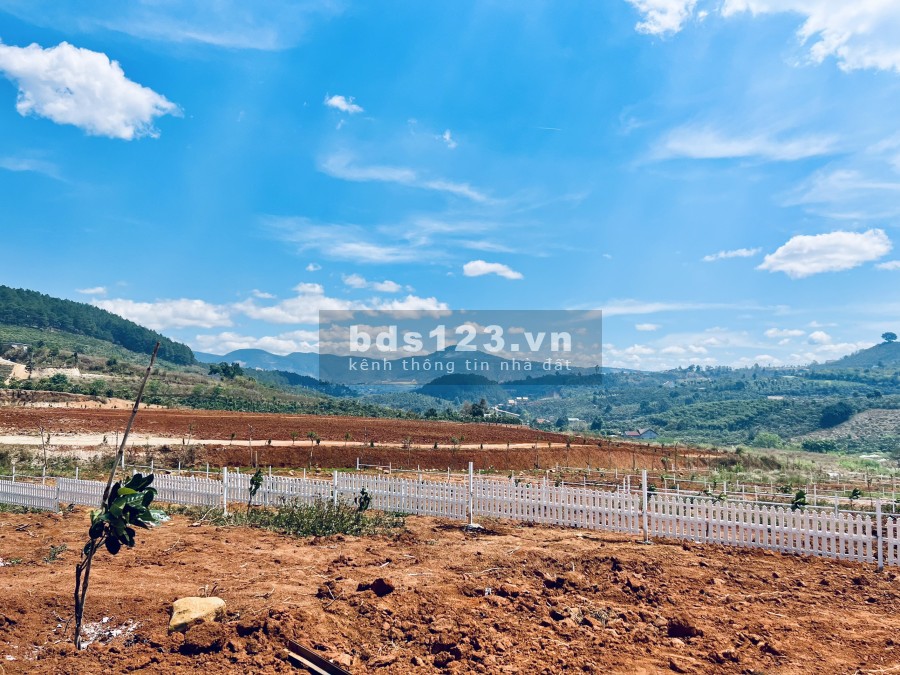 Bán đất Nam Hà, Lâm Đồng gần trung tâm Đà Lạt giá rẻ pháp lý chính chủ, tiện ích đầy đủ