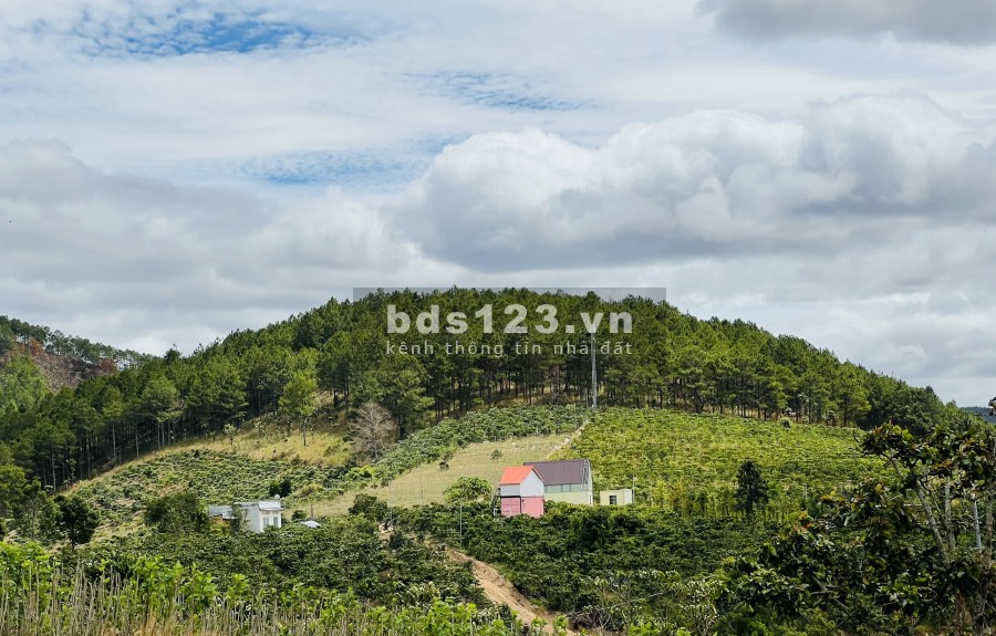 Bán đất Nam Hà, Lâm Đồng gần TT Đà Lạt pháp lý chính chủ, bàn giao công chứng ngay