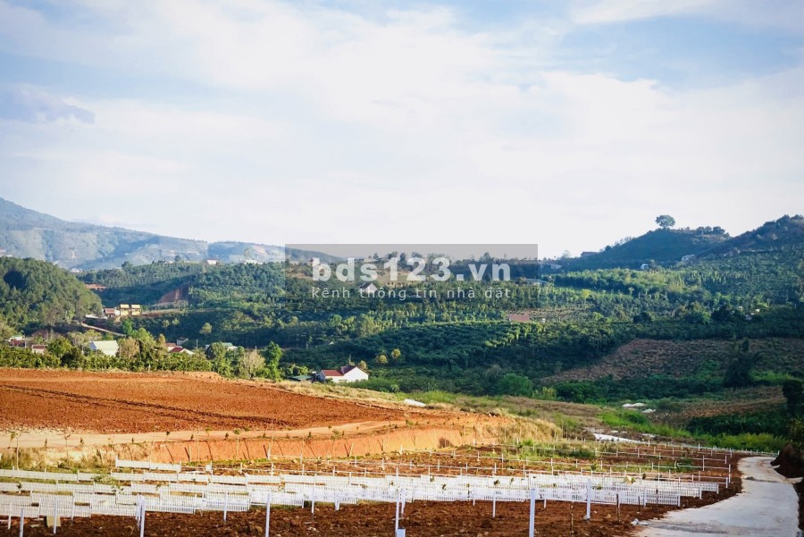 Bán đất Nam Hà, Lâm Đồng gần trung tâm Đà Lạt giá rẻ pháp lý chính chủ, tiện ích đầy đủ