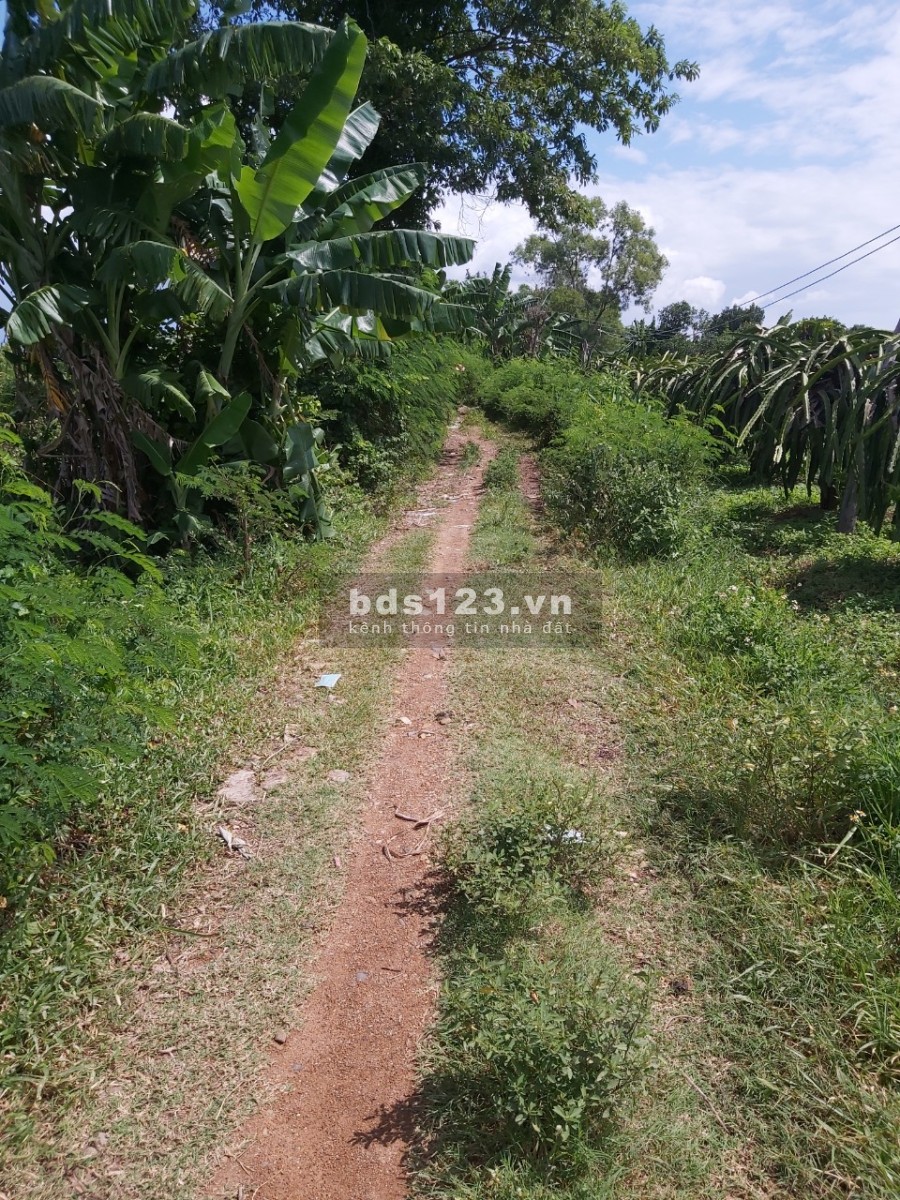 Cơ hội làm giàu bất mùa dịch sở hữu ngay lô đất thổ cư giá rẻ nhất thị trường. LH: 05.66.66.66 88
