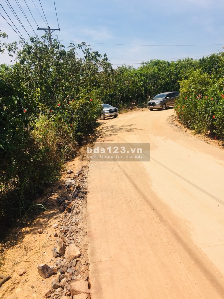 Bán nhanh 1000m2 đất cấy lâu năm ngay hồ Trị An, giá 800 triệu, bao sang tên công chứng