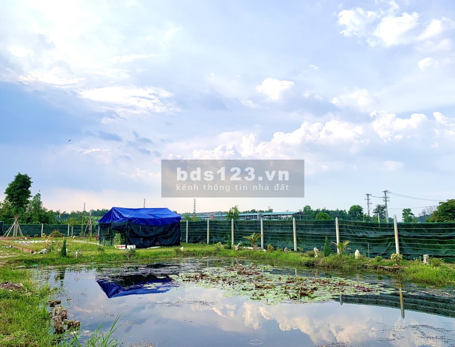 Đất vườn Củ Chi diện tích sử dụng 500m2 có sổ riêng liên hệ xem đất 0896324414
