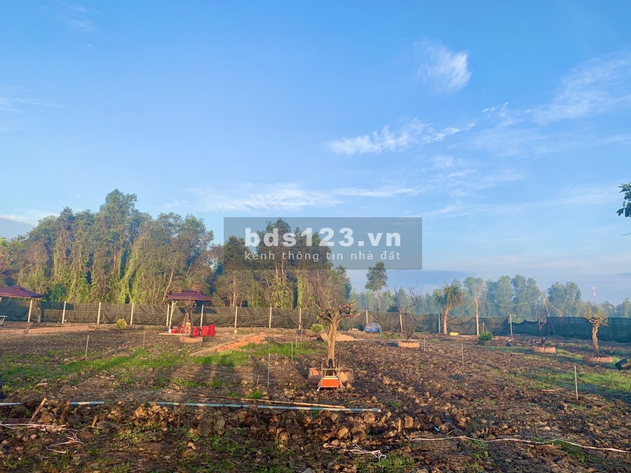 Đất vườn Củ Chi diện tích sử dụng 500m2 có sổ riêng liên hệ xem đất 0896324414