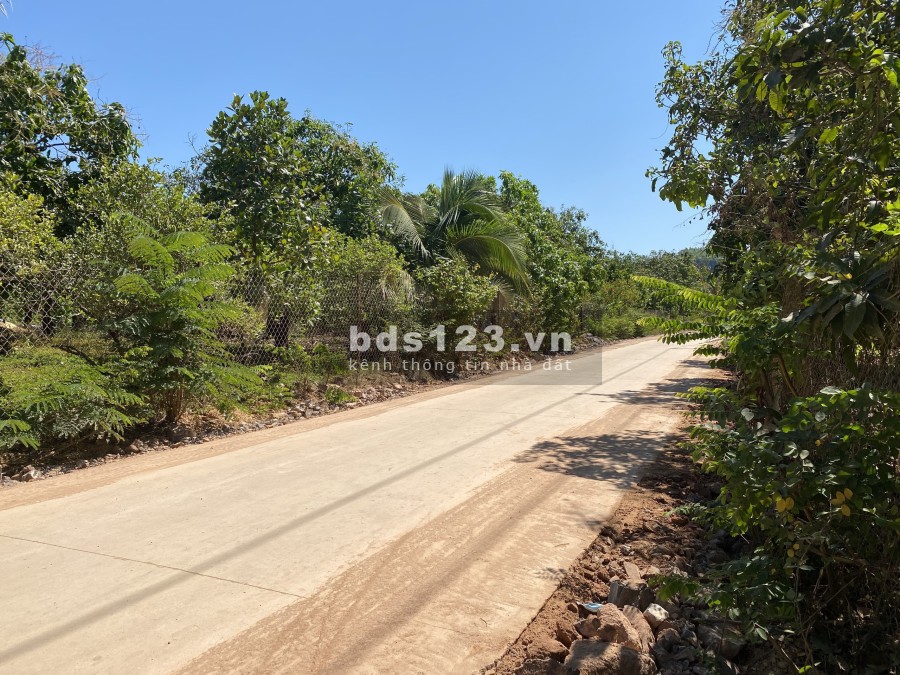 Bán nhanh 1000m2 đất cấy lâu năm ngay hồ Trị An, giá 800 triệu, bao sang tên công chứng