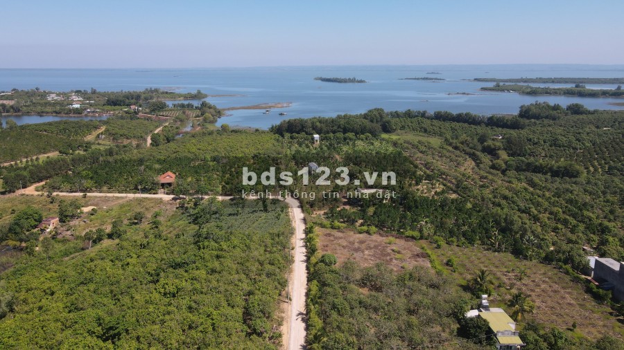 Bán nhanh 1000m2 đất cấy lâu năm ngay hồ Trị An, giá 800 triệu, bao sang tên công chứng