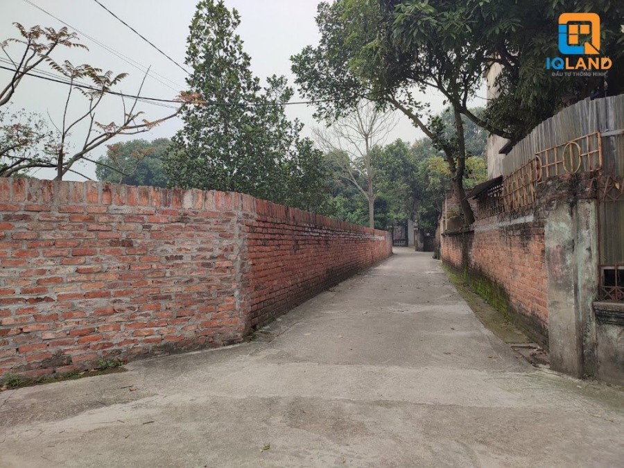 Hàng siêu đầu tư lô góc 1038M2 phân lô cực đỉnh Tân Minh Sóc Sơn. Giá 7.5tr/m2