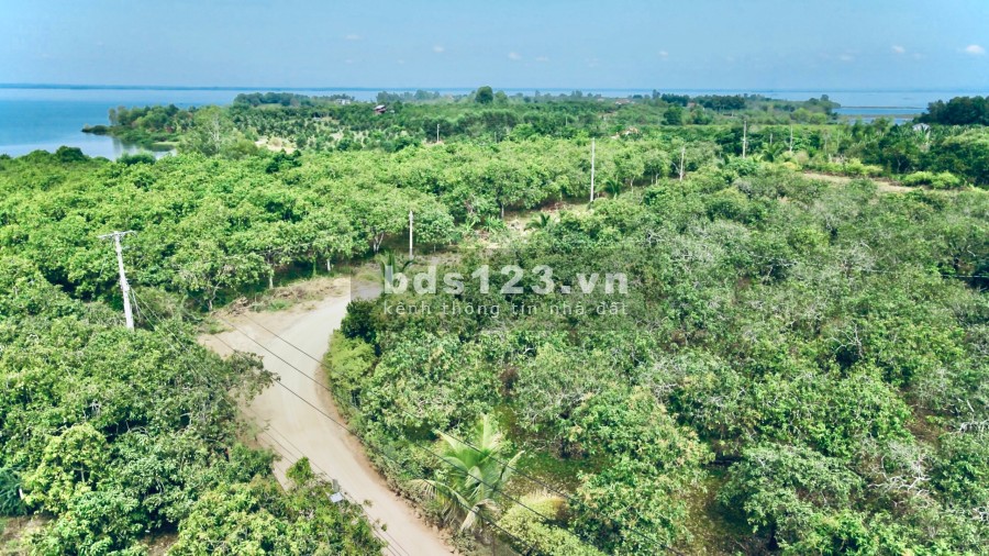 Bán nhanh 1000m2 đất cấy lâu năm ngay hồ Trị An, giá 800 triệu, bao sang tên công chứng