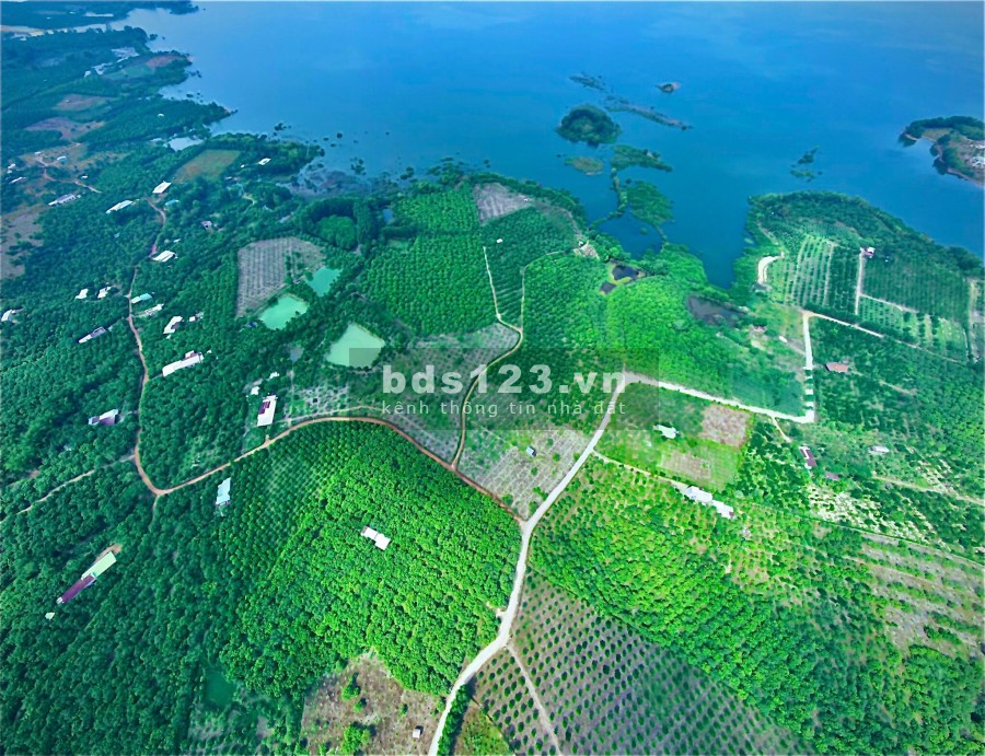 Bán nhanh 1000m2 đất cấy lâu năm ngay hồ Trị An, giá 800 triệu, bao sang tên công chứng