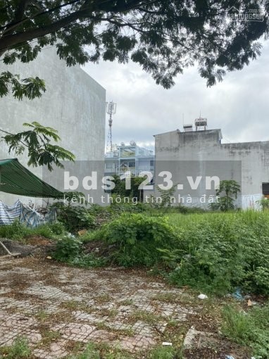 Đất ngộp bán nhanh lô đất mặt tiền Tỉnh Lộ 10, giá đầu tư 1.5 tỷ, dtsd 181.8m2, shr, xây dựng tự do