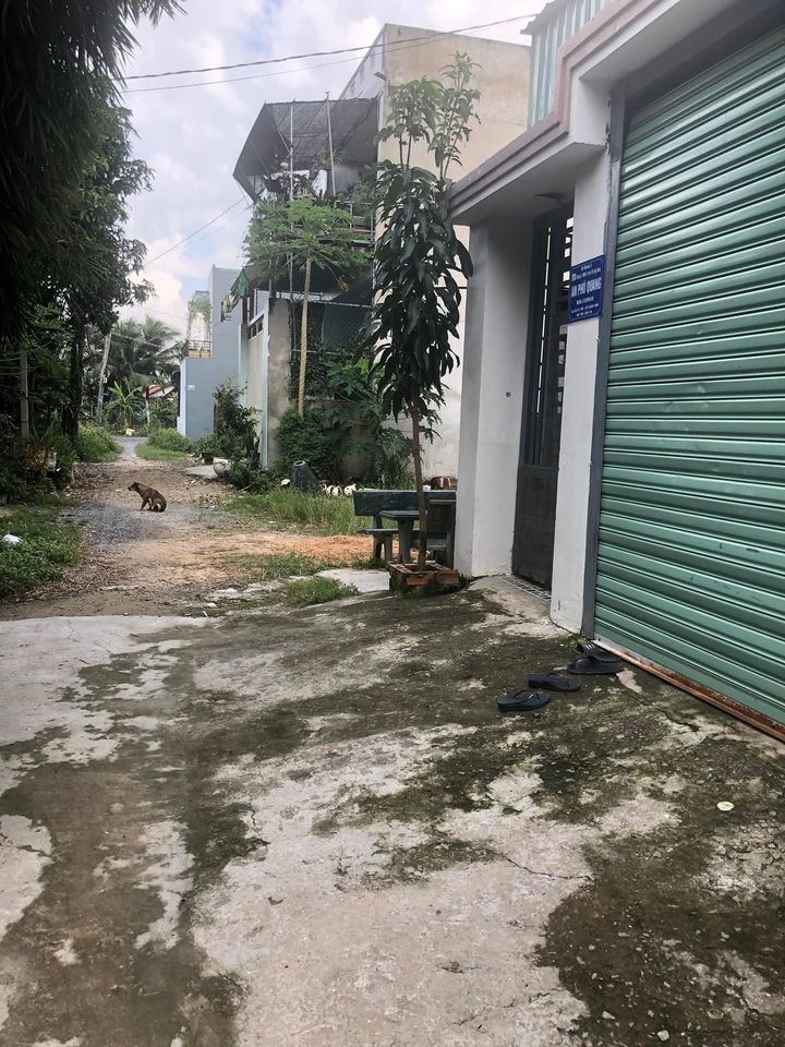 Chính chủ cần bán miếng đất diện tích 100m2 (5x20) Thổ cư 100%. Giá 1tỷ3. 0938826333.