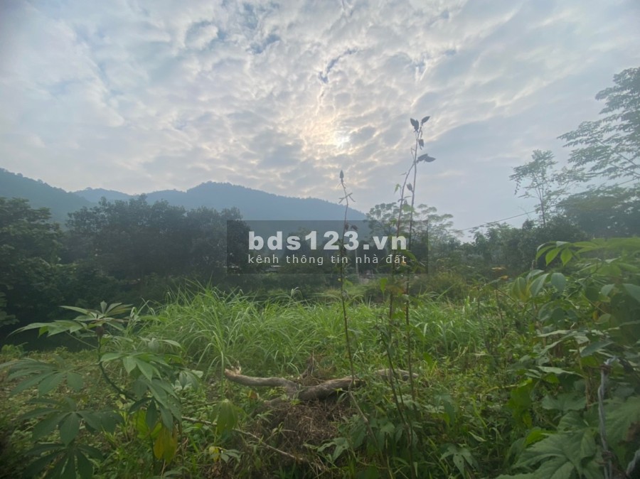 Bán lô đất đường chạy xung quanh tại Yên Bình Thạch Thất, dtsd 1800m2, 150m ONT giá rẻ