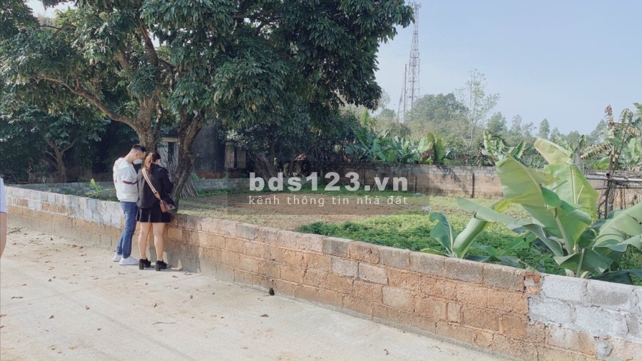 Cần bán mảnh đất vuông vắn 355m2-100m ONT tại thủy Xuân tiên chương Mỹ Hà Nội giá 7,xtr/m