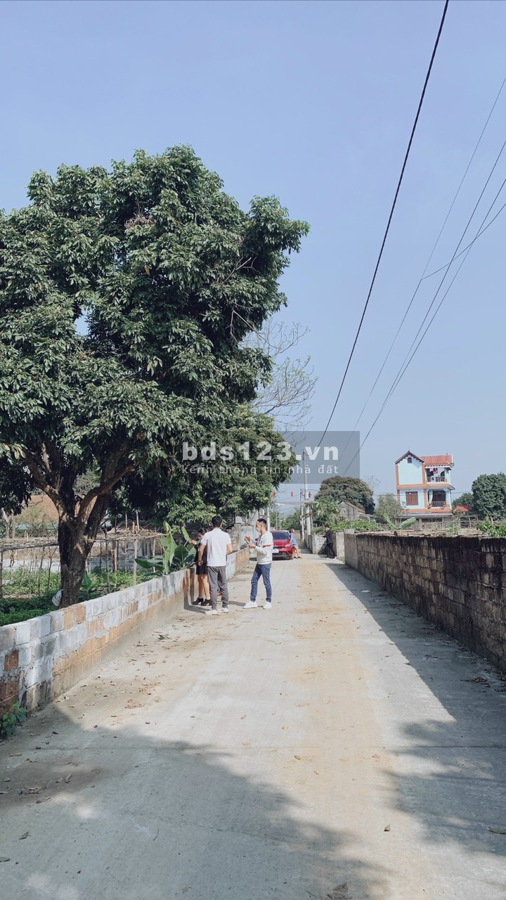 Cần bán mảnh đất vuông vắn 355m2-100m ONT tại thủy Xuân tiên chương Mỹ Hà Nội giá 7,xtr/m