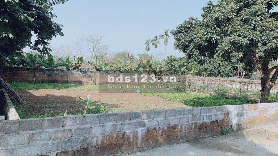 Cần bán mảnh đất vuông vắn 355m2-100m ONT tại thủy Xuân tiên chương Mỹ Hà Nội giá 7,xtr/m