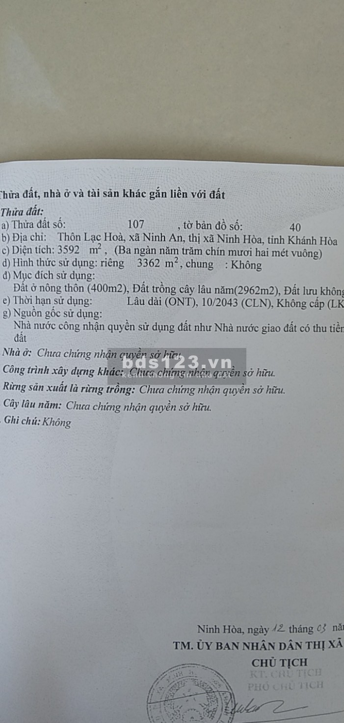  Bán nhanh đất ở nông thôn 12.000m2 đất trồng cây lâu năm Thị Xã Ninh Hoà.