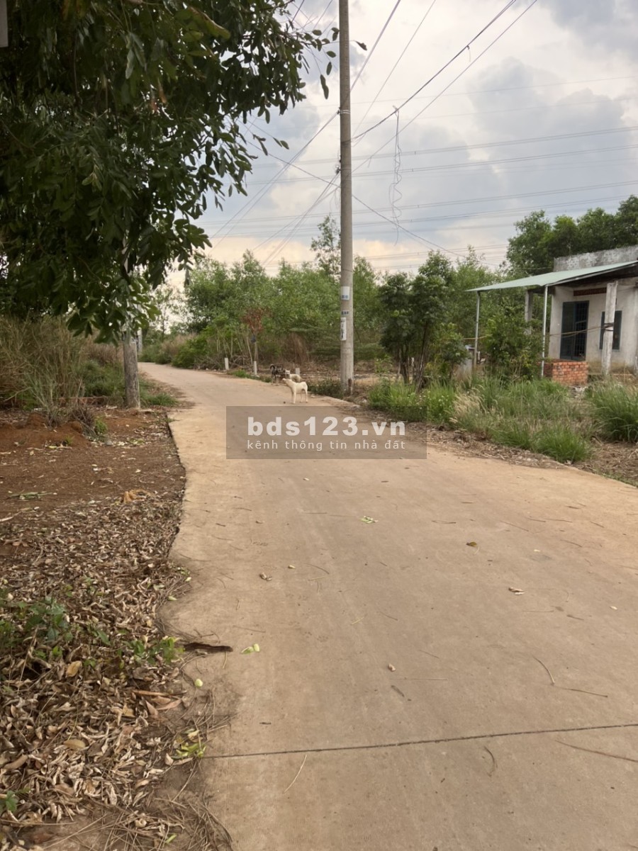 Đất Sông Trầu, Trảng Bom chính chủ, quy hoạch thổ cư tiện ích đầy đủ, khu trung tâm giá tốt