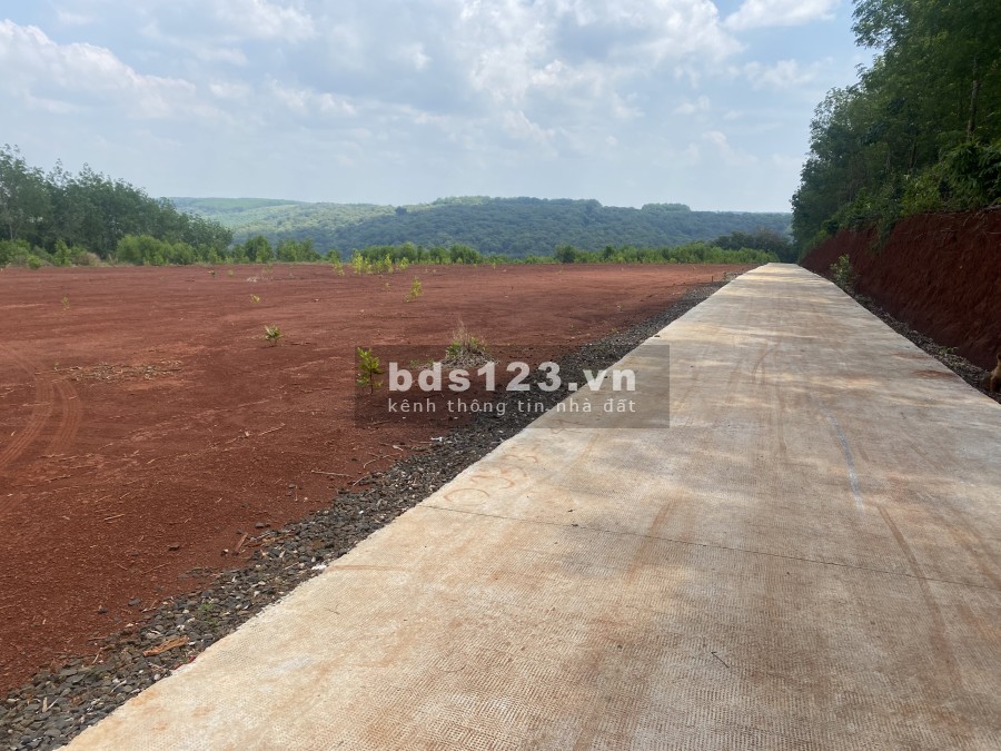 Kẹt tiền bán gấp miếng đất giá 980 triệu, pháp lý đầy đủ, bàn giao ngay.